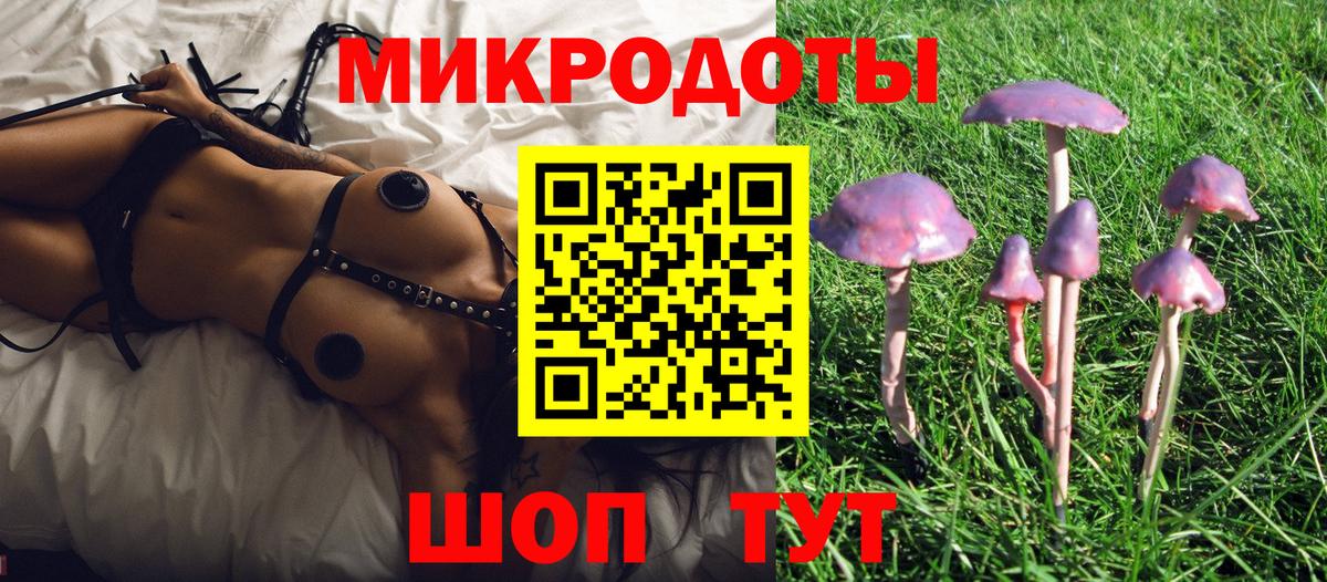 Лесосибирск  Псилоцибиновые грибы Cubensis  Вход с VPN  Псилоцибиновые грибы Magic Shrooms 